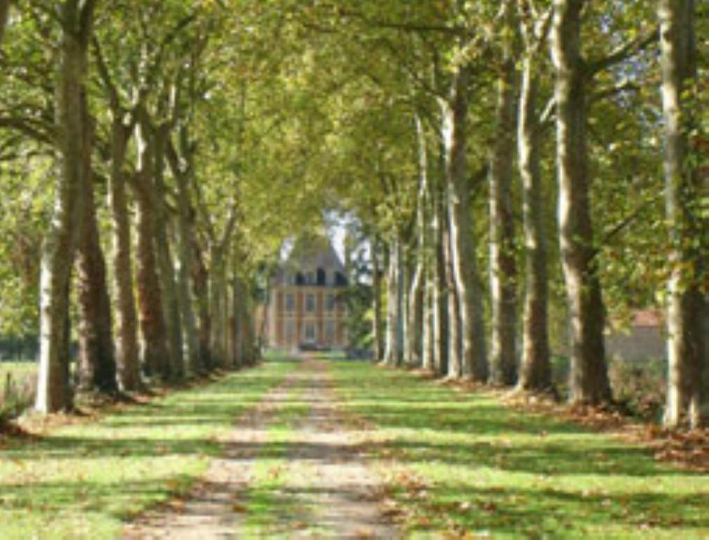 Chateau De Villars Villeneuve-sur-Allier 외부 사진