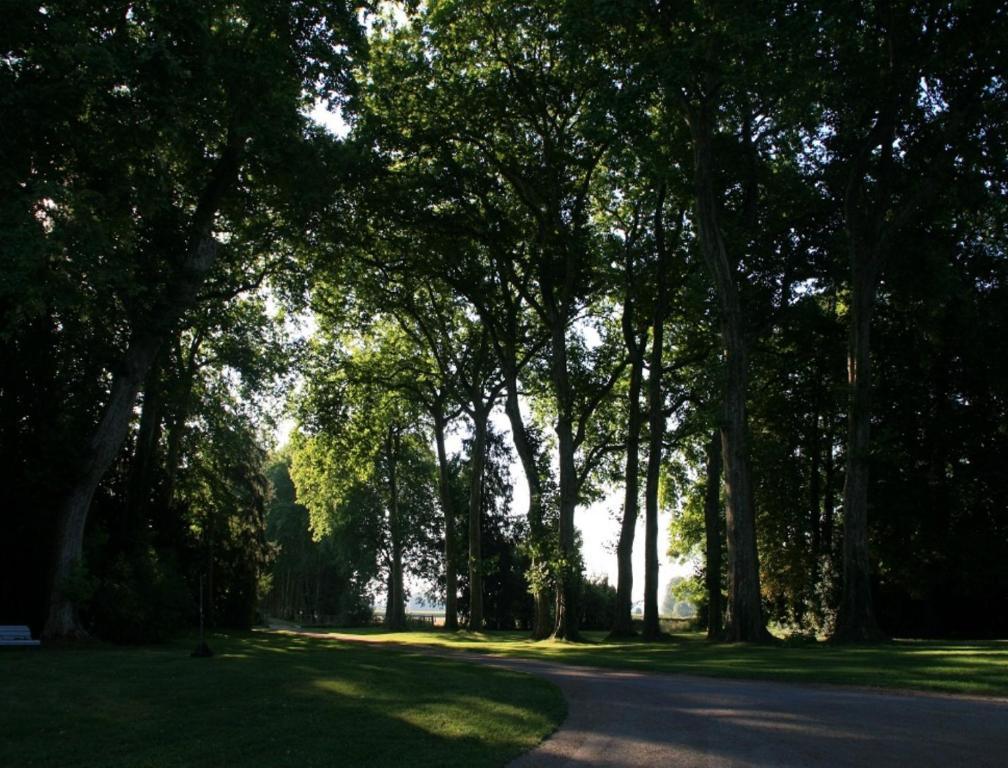 Chateau De Villars Villeneuve-sur-Allier 외부 사진