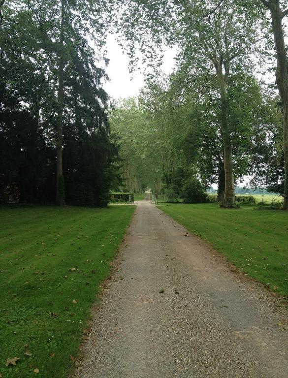 Chateau De Villars Villeneuve-sur-Allier 외부 사진